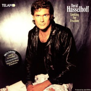 david hasselhoff looking for freedom