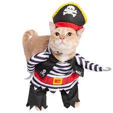 a cat dressed in a pirate costume
